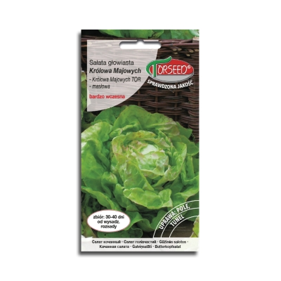 SAŁATA MASŁOWA Królowa Majowych WCZESNA nasiona